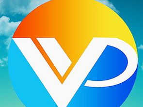 微點廣告傳媒與同順廣告傳媒 行業雙雄的對比與展望